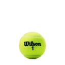PACK X2 TUBOS WILSON EXTRA DUTY