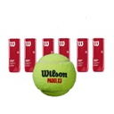 PACK X6 TUBOS WILSON PADEL