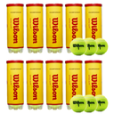 PACK X10 TUBOS WILSON EXTRA DUTY